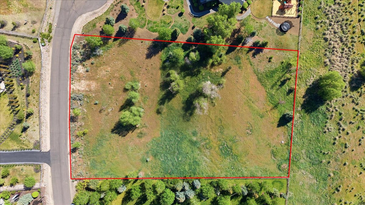 Expansive vacant land parcel featuring mature trees and varied vegetation