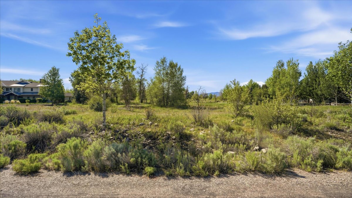 Expansive natural landscape featuring varied vegetation, mature trees, and distant mountain scenery under a clear blue sky