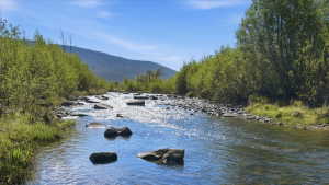 Natural waterway featuring a rocky bed, lush green foliage along both banks, and a distant mountain range under a clear blue sky