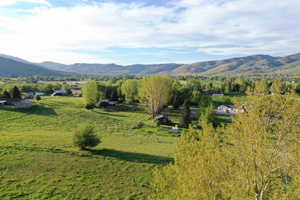 Expansive green acreage with mature trees