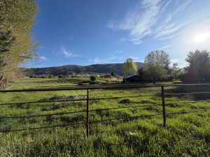 Expansive green pastureland with distant mountain backdrop, featuring a visible fence line, mature trees, and a distant building structure