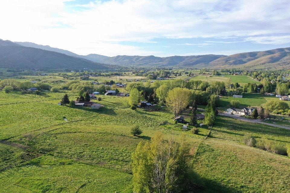 Expansive green fields featuring scattered residential structures and mature trees