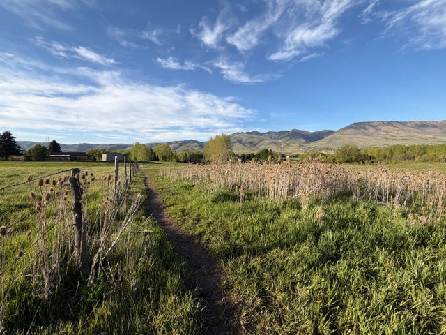 Expansive grassy field featuring a natural earth path, rustic wooden fence, and diverse vegetation
