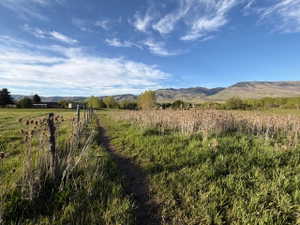 Expansive grassy field featuring a natural earth path, rustic wooden fence, and diverse vegetation