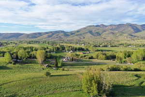 Expansive rural landscape featuring distant mountains, verdant fields, and scattered mature trees