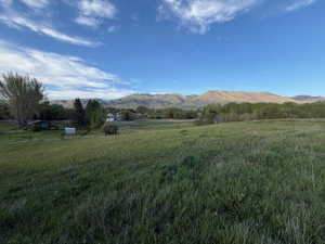 Expansive green field with distant mountain range backdrop