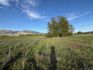 Expansive grassy terrain featuring scattered trees and a distant mountain range under a clear sky