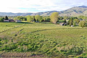 Expansive green fields with distant mountain backdrop, featuring mature trees and scattered residential structures