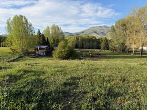 Expansive green landscape featuring varied foliage, including mature trees and grassy areas