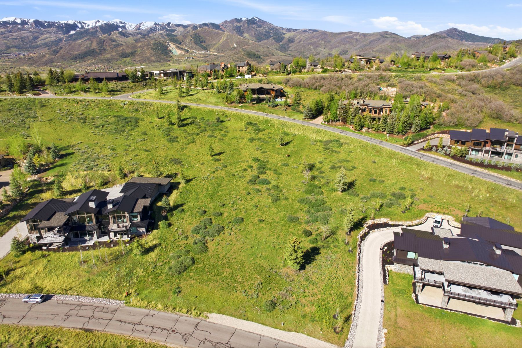 Expansive natural landscape featuring rolling green hills and distant snow-capped mountains