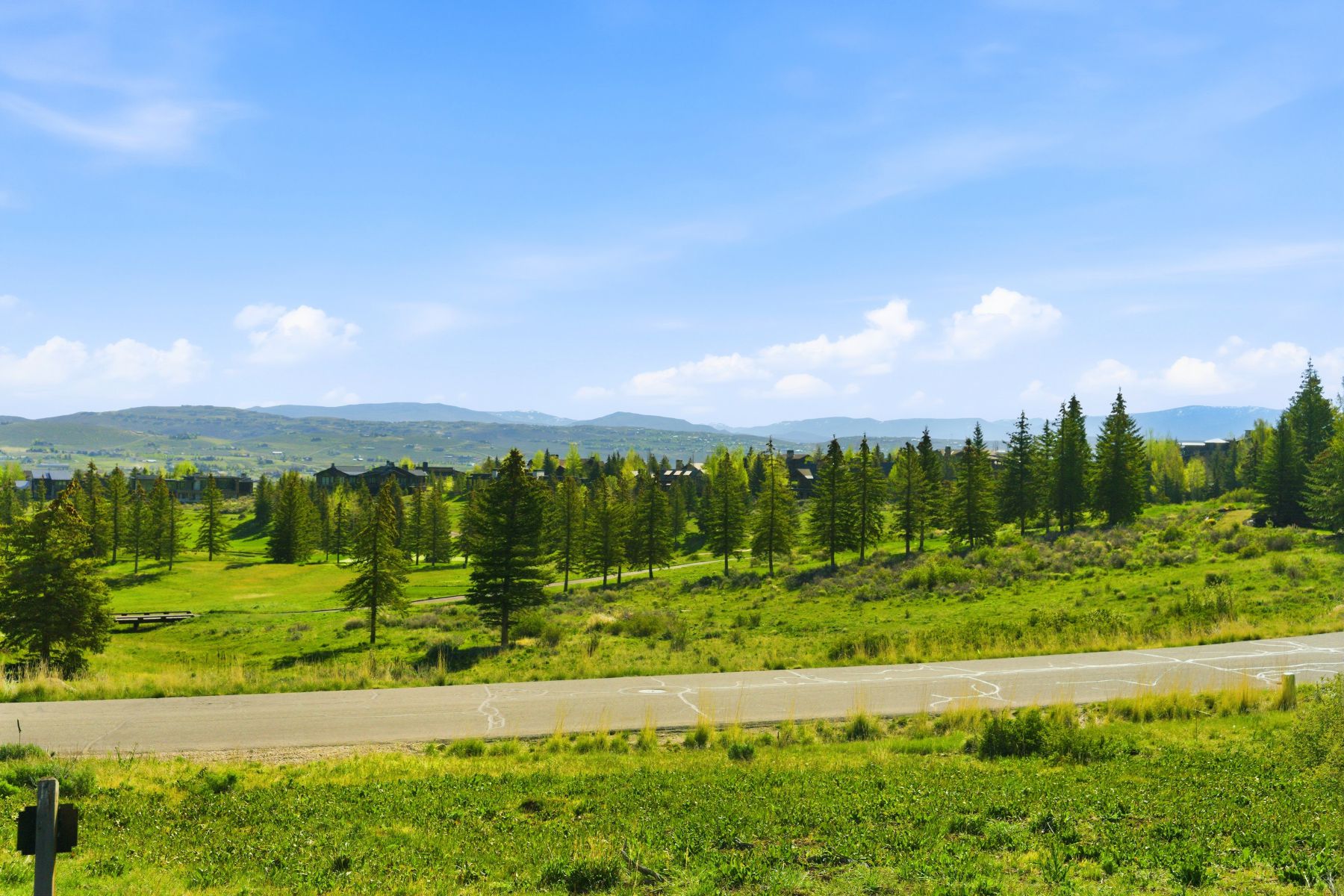 Expansive green spaces with scattered evergreen trees and distant mountain ranges