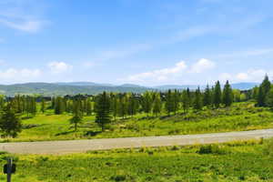 Expansive green spaces with scattered evergreen trees and distant mountain ranges