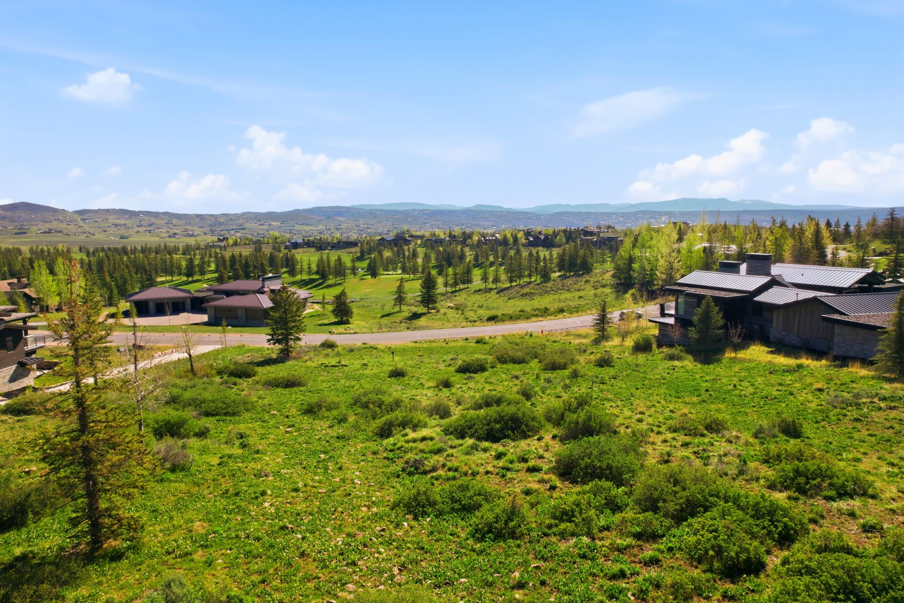 Expansive green landscape featuring varied terrain and natural vegetation