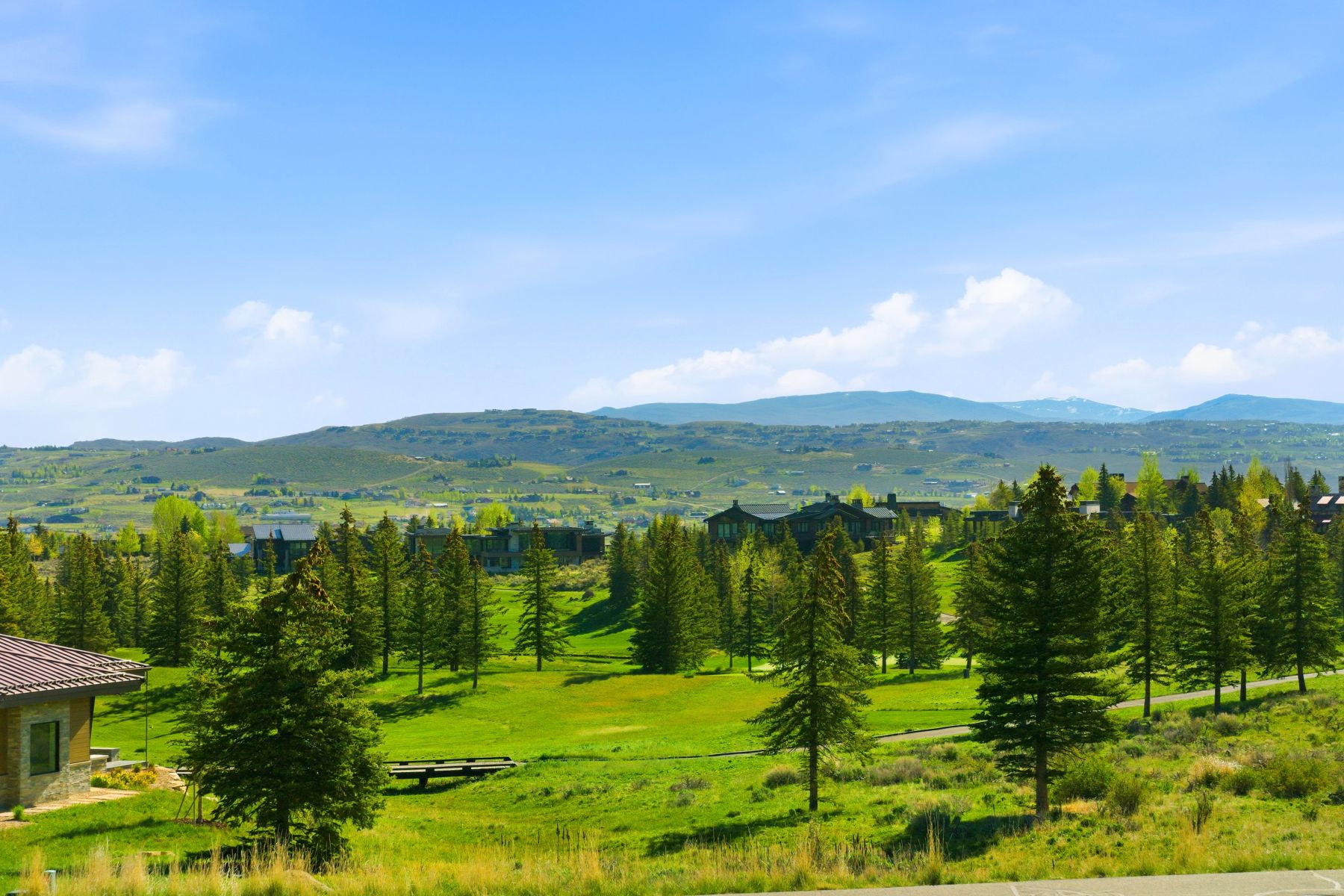 Expansive green landscape featuring mature evergreen trees and distant mountain ranges