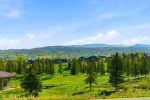 Expansive green landscape featuring mature evergreen trees and distant mountain ranges