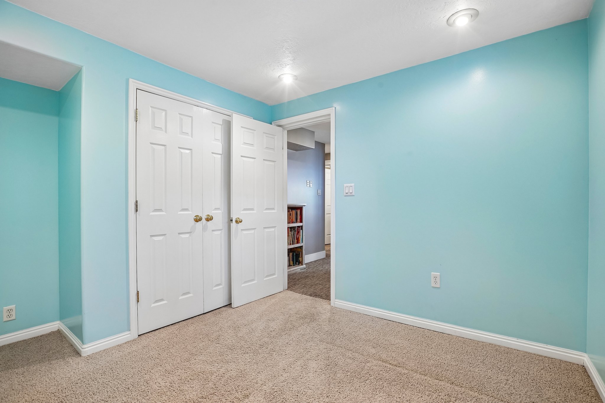 Light blue-painted room with textured carpet flooring