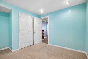 Light blue-painted room with textured carpet flooring