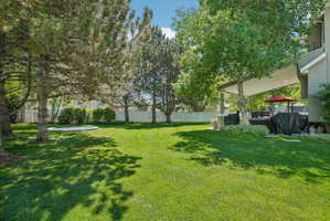 Expansive green lawn with mature trees providing natural shading