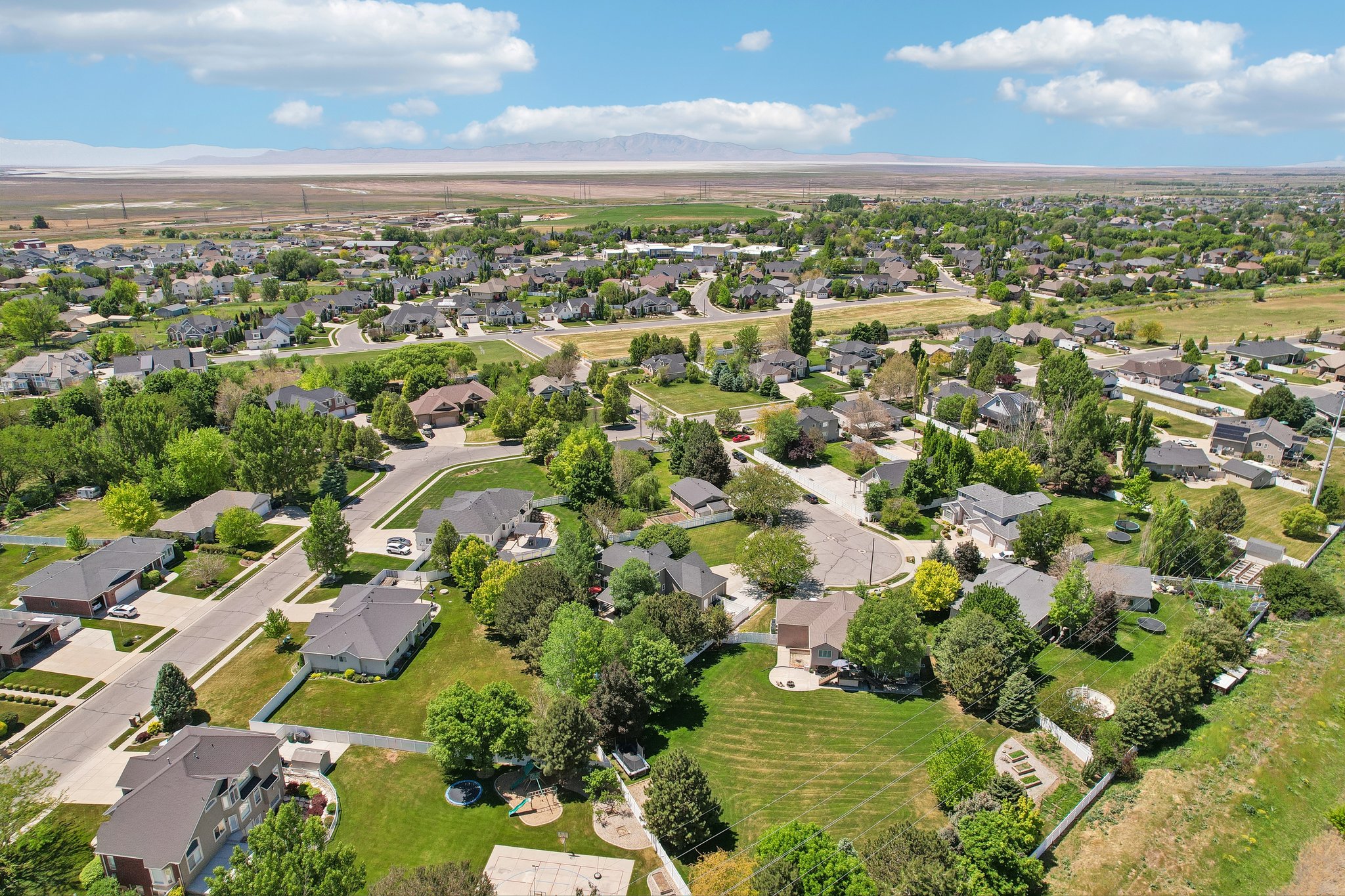Aerial perspective showcasing a residential neighborhood with detached homes, mature trees, and paved streets