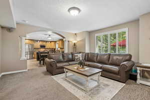 Living area featuring carpeted flooring and an arched doorway with decorative columns