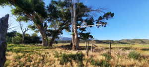 View of yard with a mountain view