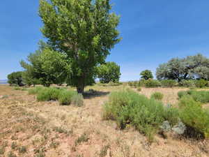 View of undeveloped land with rural landscape