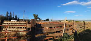 View of yard featuring a view of rural / pastoral area
