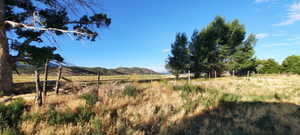 View of yard featuring a view of rural / pastoral area and a mountain view