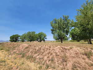 View of local wilderness with rural landscape