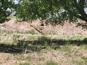 View of undeveloped land
