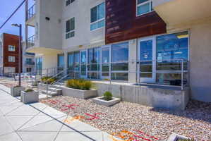 Modern building exterior featuring a textured brown facade accent, concrete planter boxes with established greenery, a concrete walkway, and large storefront windows with silver framing