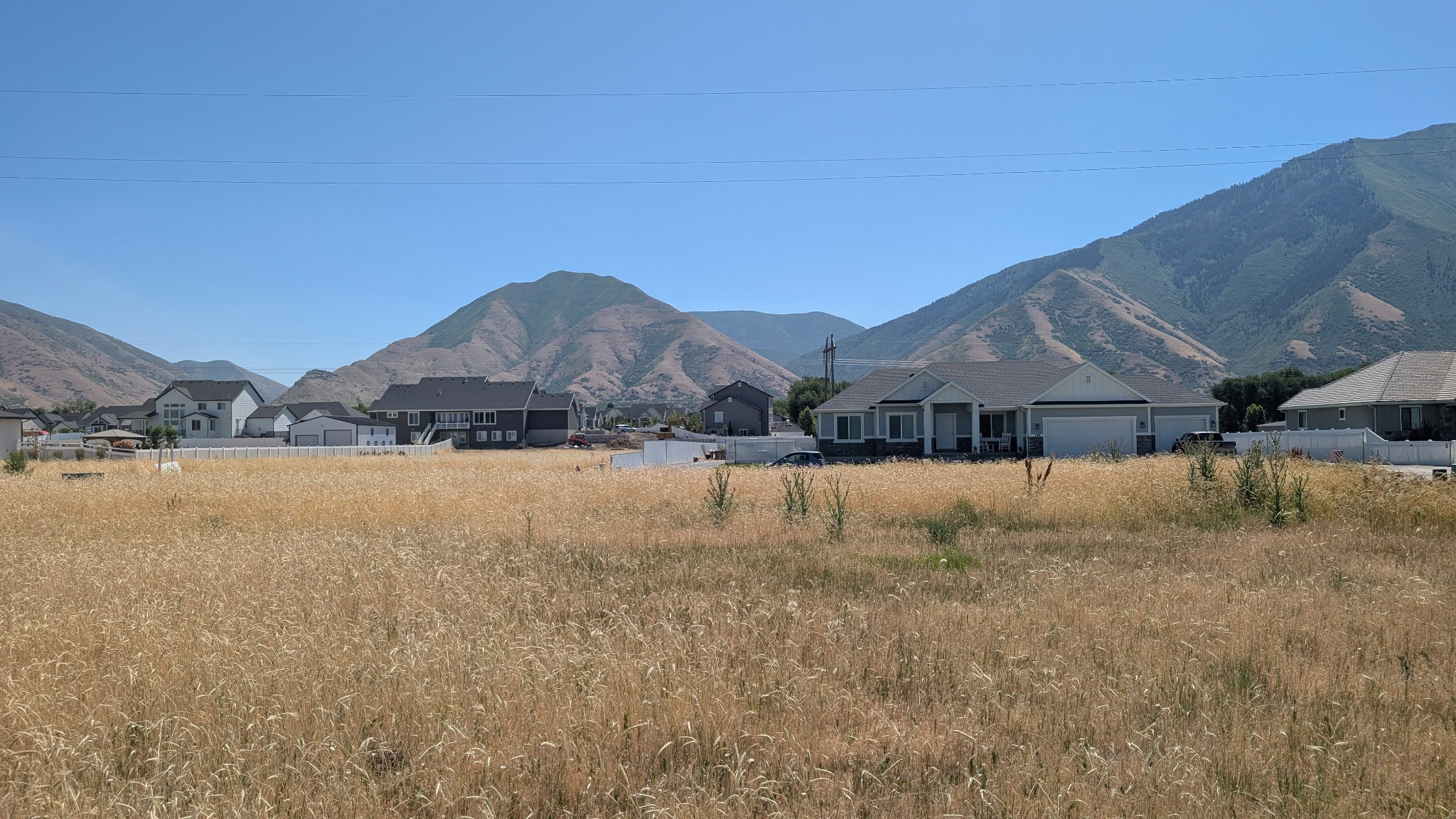 Expansive golden field with a backdrop of mountains