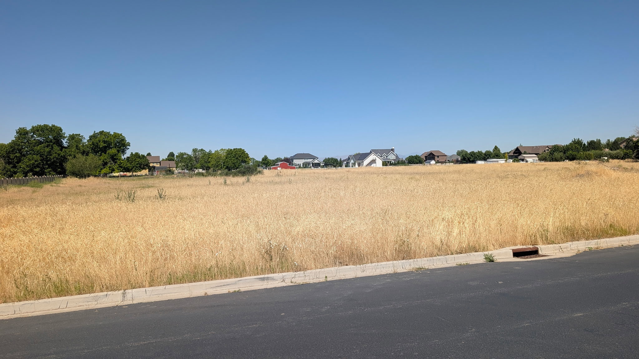 Expansive undeveloped lot featuring golden-hued natural grasses and a clear, open sky