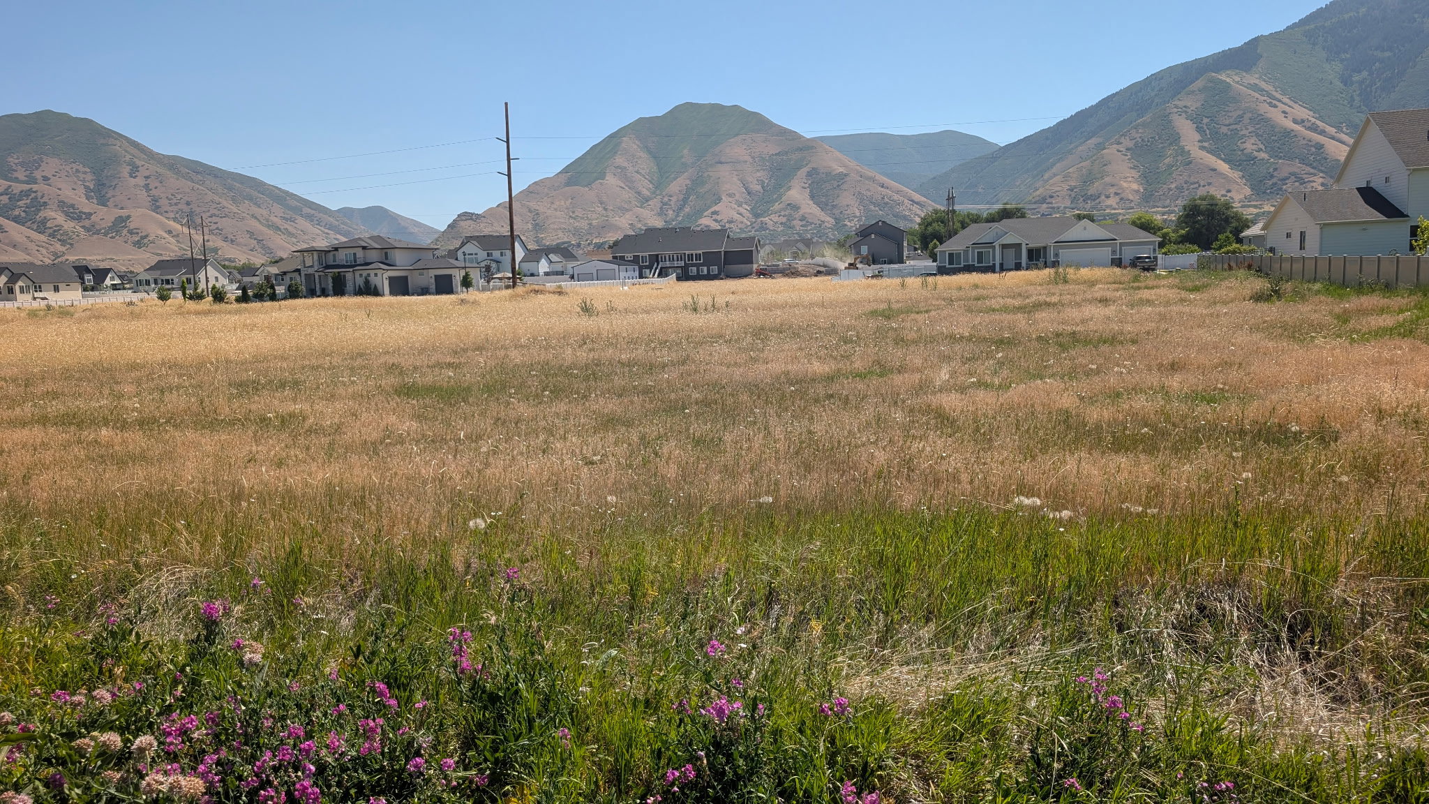 Expansive undeveloped lot featuring natural grasses and distant mountain backdrops