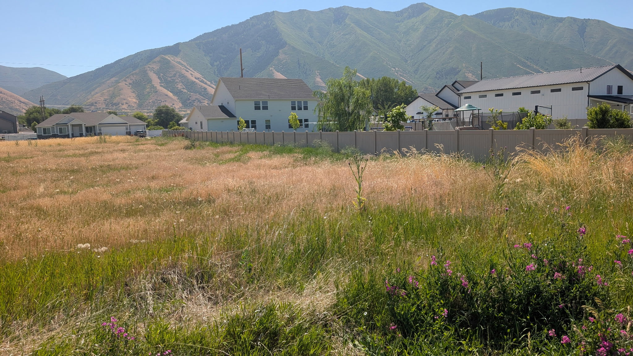 Expansive undeveloped lot featuring natural vegetation and a concrete boundary fence