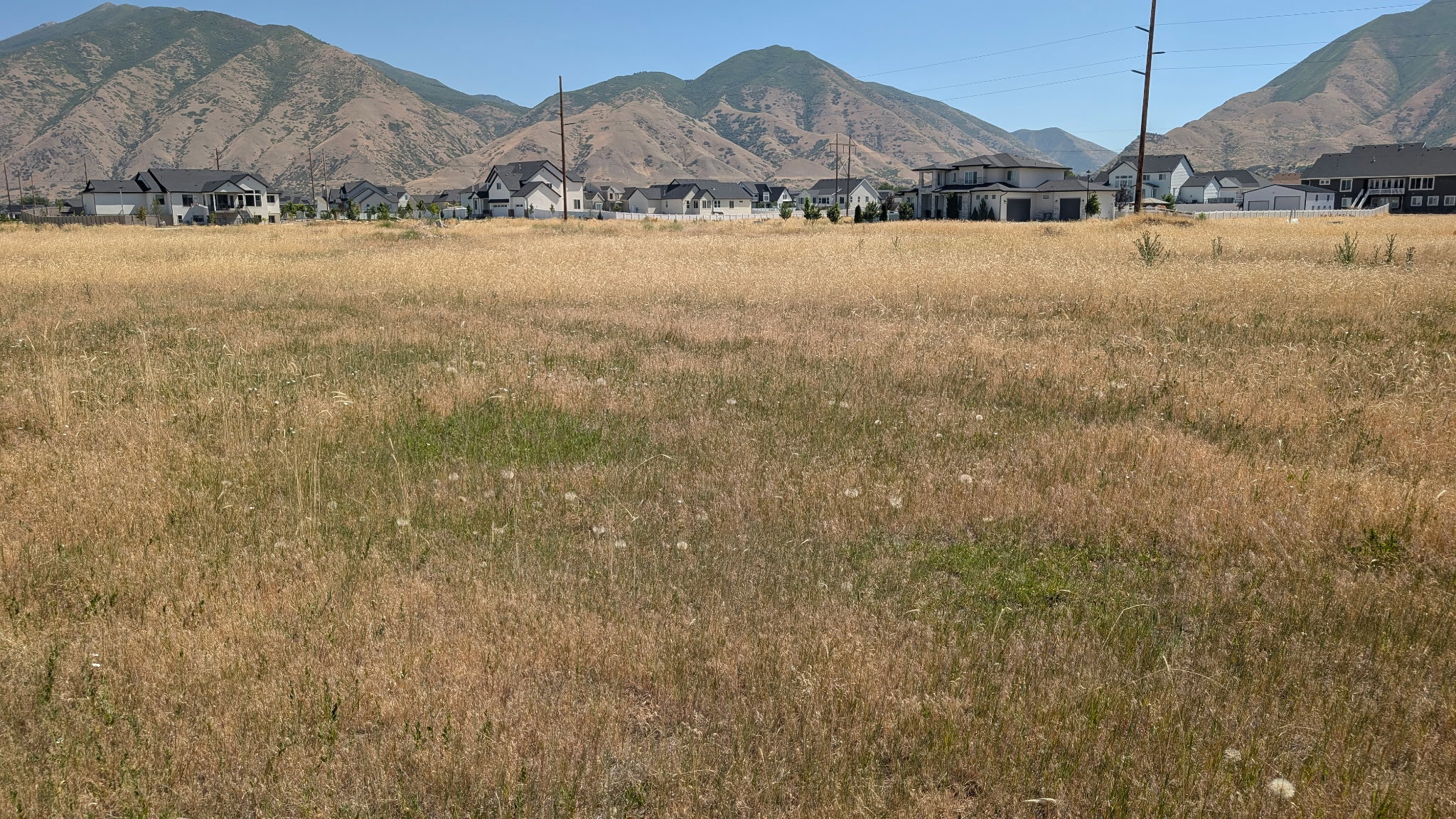 Expansive undeveloped land parcel with a mountain backdrop