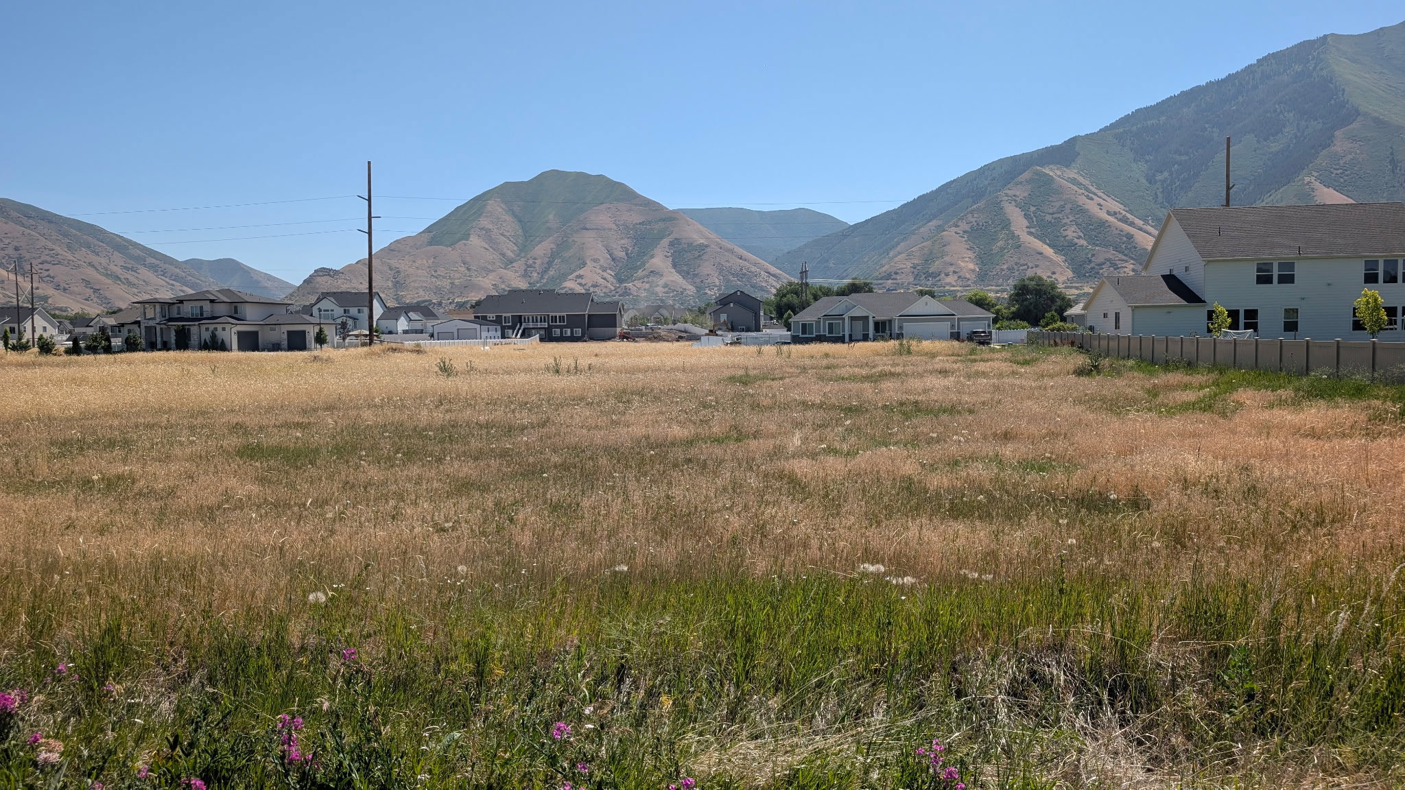 Expansive undeveloped land parcel featuring natural grasses and distant mountain backdrops