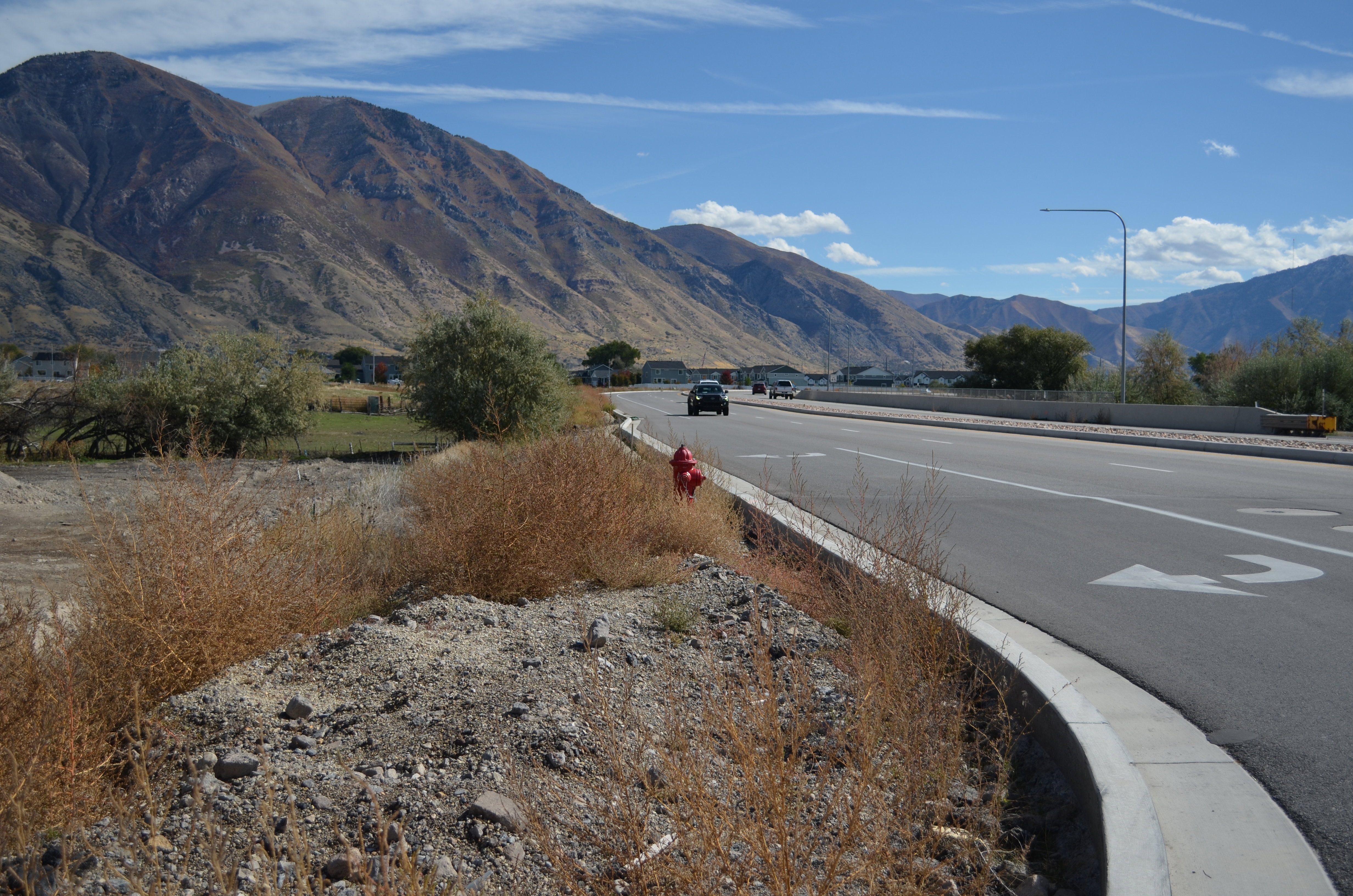 Paved roadway with a concrete curb and mountain backdrop