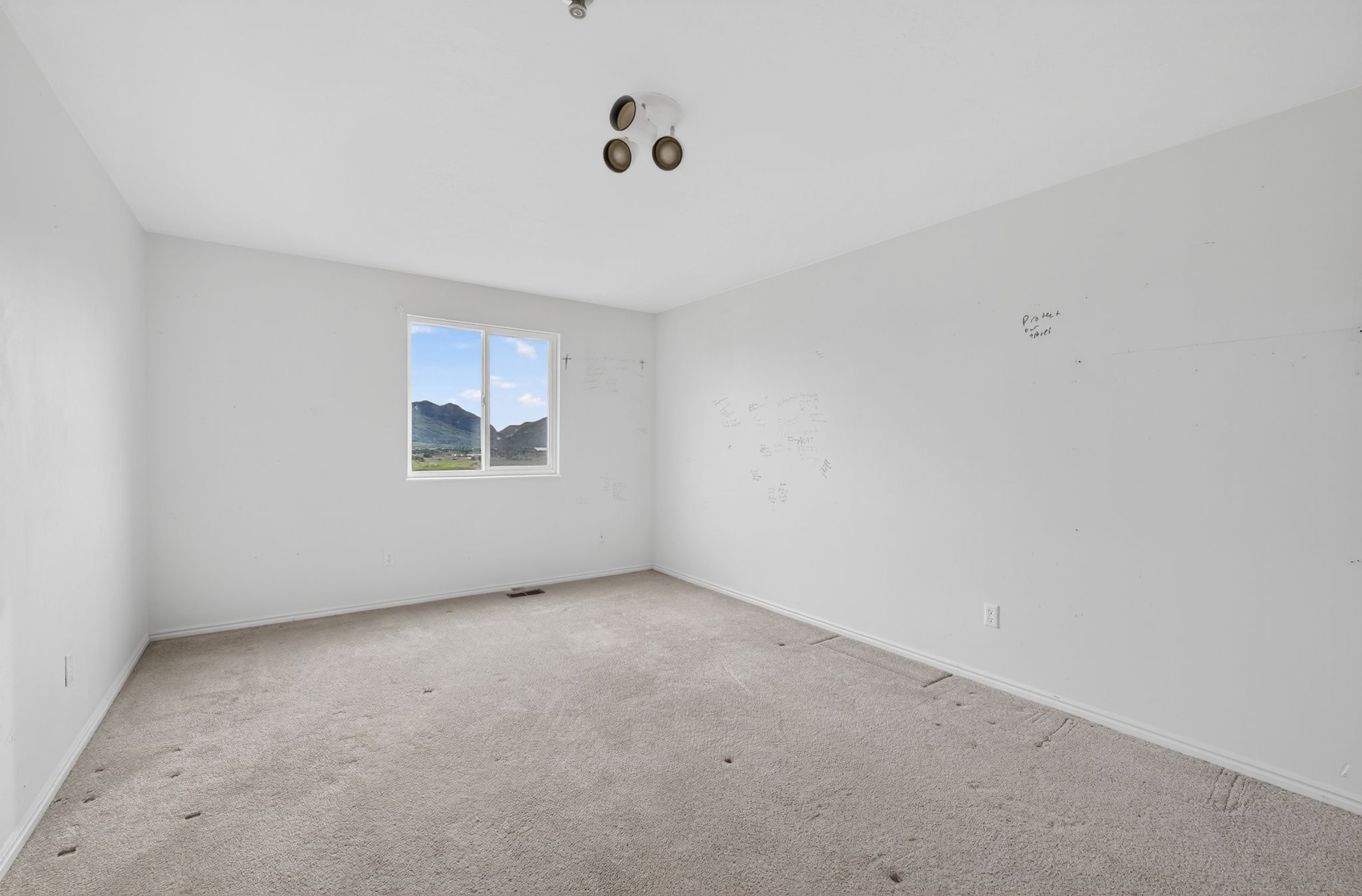 Room featuring a window with a mountain and field backdrop, light grey carpet, white walls, and a ceiling-mounted light fixture