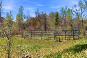 Fenced enclosure on a grassy field with varied tree foliage