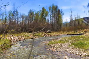 Image quality insufficient for description