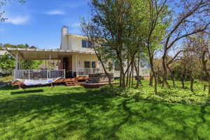 Expansive backyard featuring a lush lawn and mature trees
