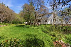 Expansive green lawn surrounded by mature trees, creating a secluded outdoor environment