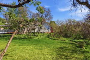 Expansive green lawn with mature trees and natural landscaping