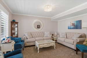 Living area featuring light-toned walls, textured carpeting, crown molding, and a chandelier with a drum shade