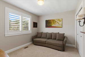 Bright room featuring a window with white plantation shutters, carpeted flooring, and a ceiling-mounted light fixture