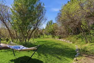 Expansive backyard featuring a manicured lawn, mature trees, and natural rock retaining walls