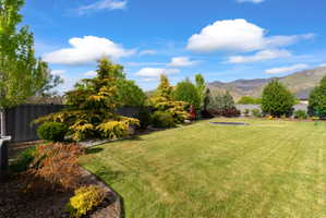 Expansive green lawn with mountain backdrop, bordered by mature trees and shrubs, featuring a dark privacy fence