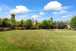 Expansive green lawn surrounded by mature trees and shrubs, featuring a dark privacy fence and a mountain backdrop
