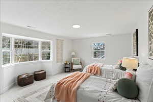 Bright room featuring a large bay window with grid panes, a round ceiling light fixture, a rectangular window with grid panes, and light-colored wall-to-wall carpeting